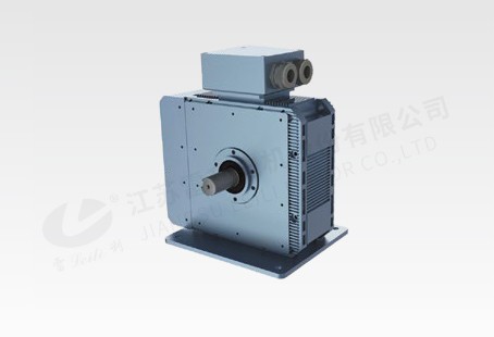 55KW 軸向磁通電機(jī)